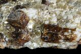 Brown Dravite Tourmaline Crystals in Mica - Western Australia #96310-2